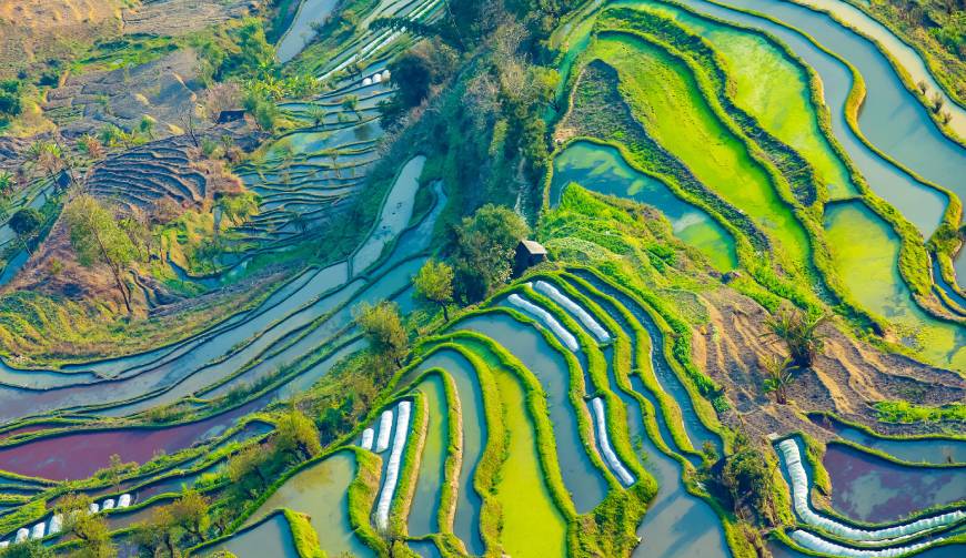 宝妈必备神器：忻城县产品视频拍摄轻松育儿好帮手