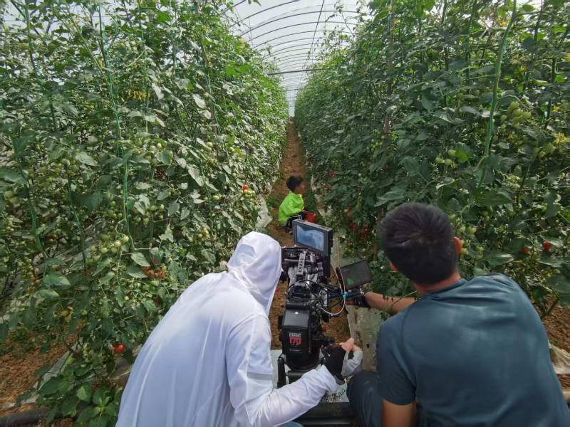 忻城县产品宣传视频拍摄公司进阶指南，助力品牌抢占传播高地